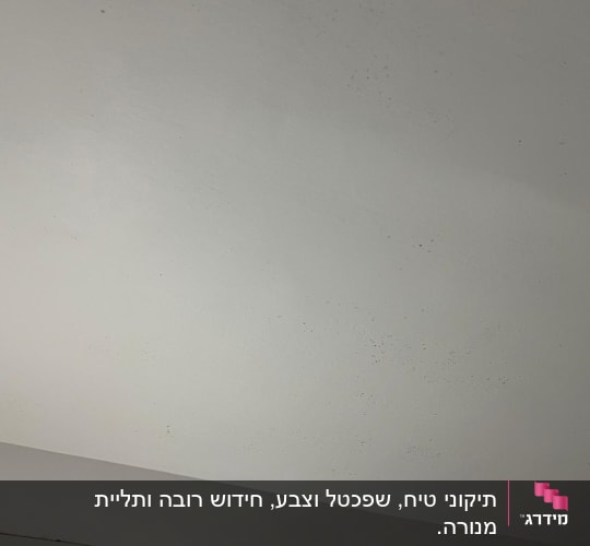 תקרה חלקה עם כתמים קטנים